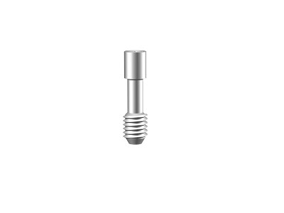 Abutment Screw (DD)