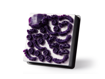 Resin - Dental / Castable Wax