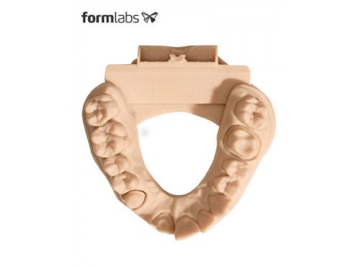 Resin - Dental Model V2