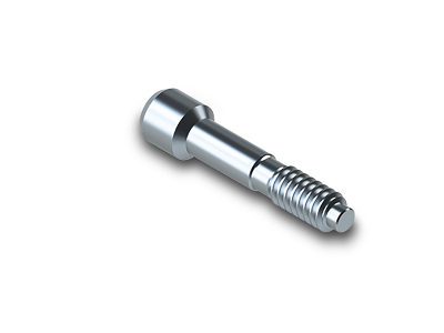 Titanschraube / Abutment
