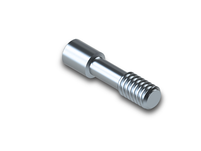 Titanschraube / Abutment