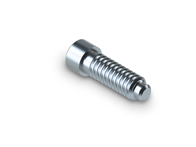 Titanschraube / Abutment