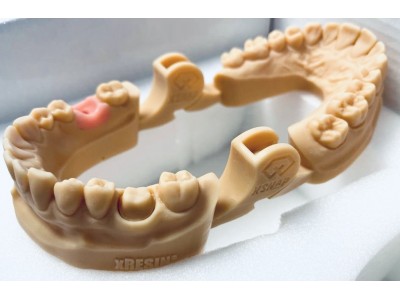 DREVE - FotoDent® model (385 / 405nm)