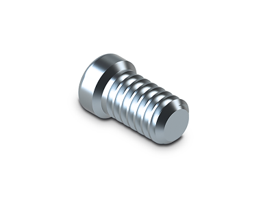Titanium screw (Ø 4,8mm - 6,5mm) / Multi-Unit