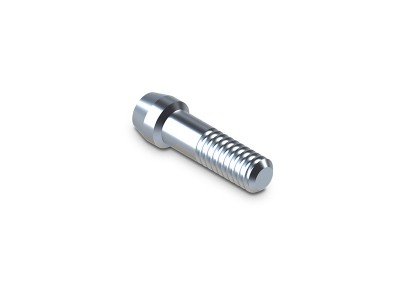 Titanschraube / Abutment