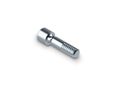 Titanschraube / Abutment