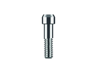 Abutment Screw (NT)