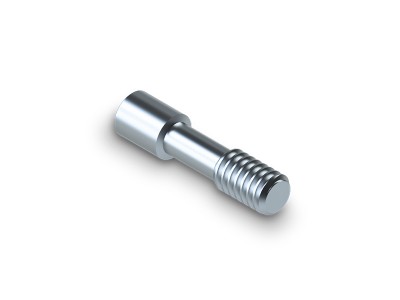 Titanium screw (Ø 3,5mm - 6,0mm) / Abutment