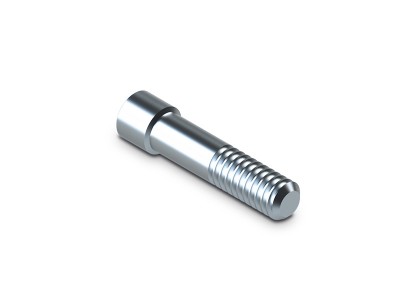 Titanschraube / Abutment