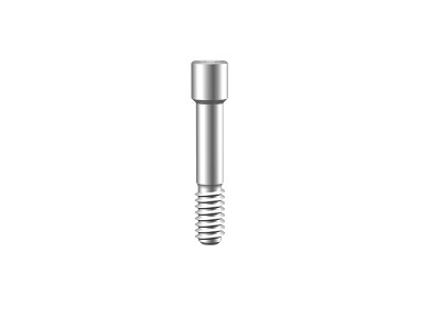 Abutment Screw (DD)