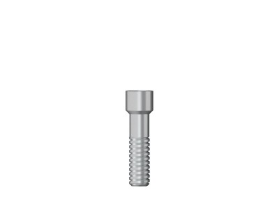 Abutment screw / Hex 1,26 M 1,6