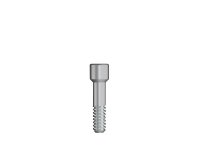 Abutment screw / Hex 1,26 M 1,4
